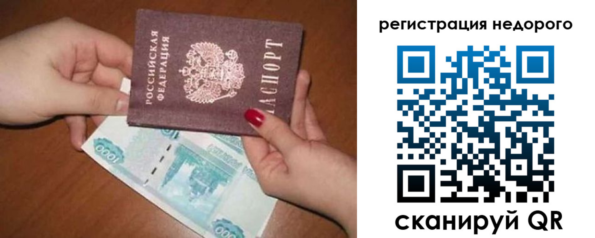 прописка гарантия в Химках